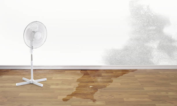 Best Water damage restoration near me  in Sherwood, OR