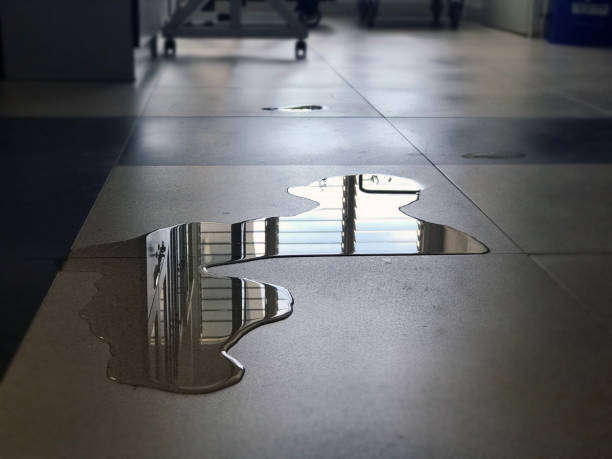 Sewage cleanup and water damage restoration in Sherwood, OR