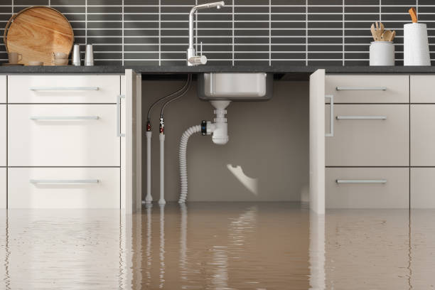 Best Local water damage restoration  in Sherwood, OR